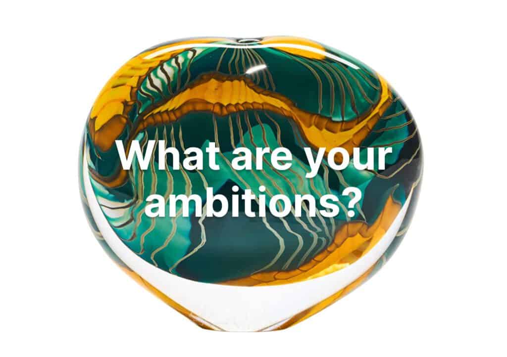 what are your ambitions?